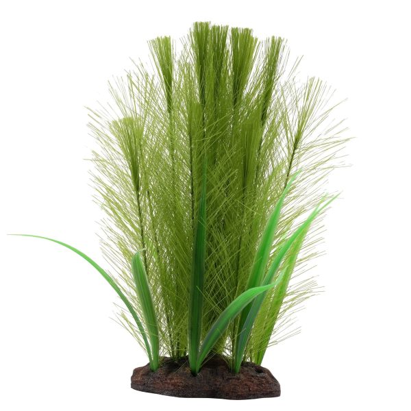 Aqualife plante Myriophylle brésilien vert et Vallisnérie Cheap