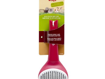 Brosse à démêler Living World à nettoyage simplifié pour petits animaux on Sale