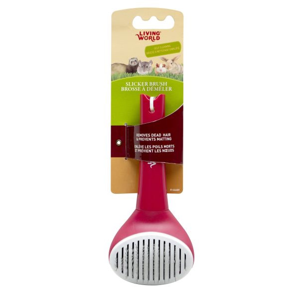 Brosse à démêler Living World à nettoyage simplifié pour petits animaux on Sale