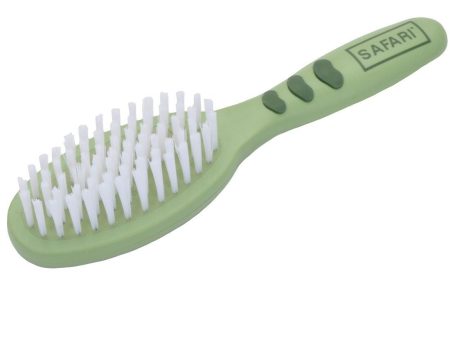 Brosse à poils avec manche en plastique safari Supply