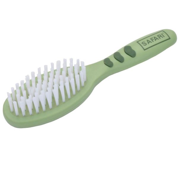 Brosse à poils avec manche en plastique safari Supply