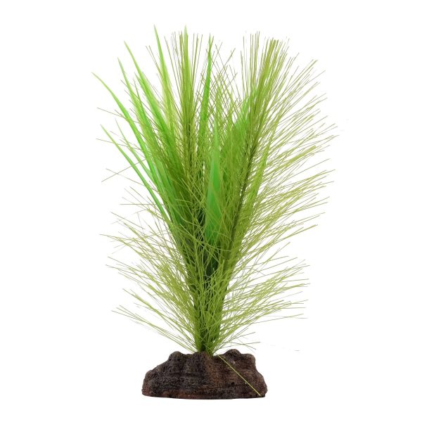 Aqualife plante Myriophylle brésilien vert et Vallisnérie Cheap