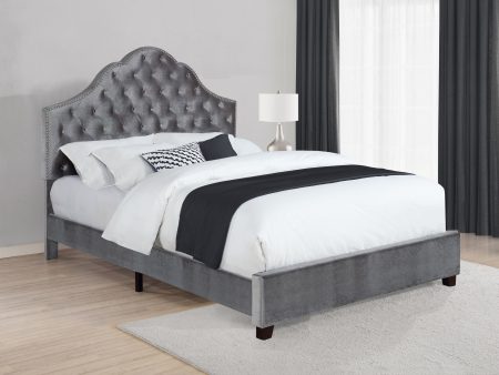 Abbeville Full Upholstered Bed With Arched Headboard Grey - 315891F For Discount