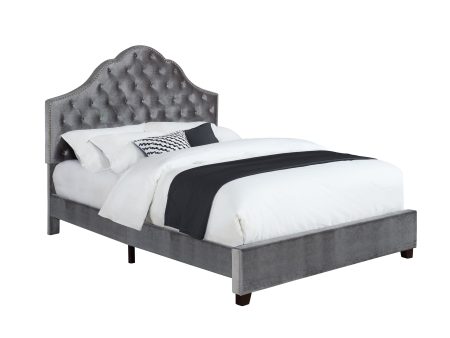 Abbeville Eastern King Upholstered Bed With Arched Headboard Grey - 315891KE For Cheap